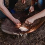vuur maken met firesteel tijdens bushcraftkamp