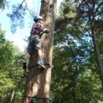 klimbomen bushcraft zomerkamp