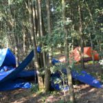 tarp tentenkamp tijdens bushcraft zomerkamp