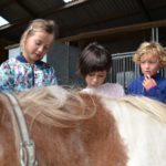 Op de boerderij kinderkamp