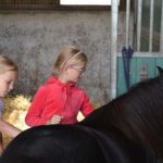 paarden kinderkamp