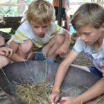 Survival zomerkamp Nederland