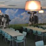 Zomerkamp groepsaccommodatie Nederland Veluwe